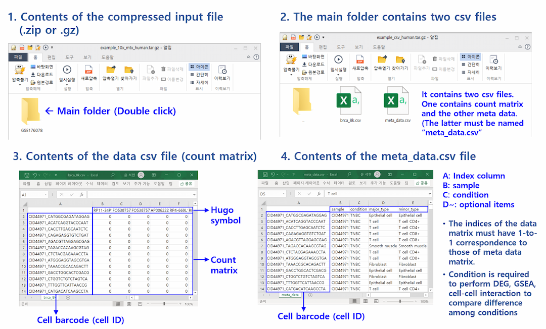 csv